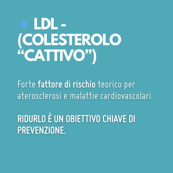 Autoanalisi del Profilo Lipidico - immagine 5